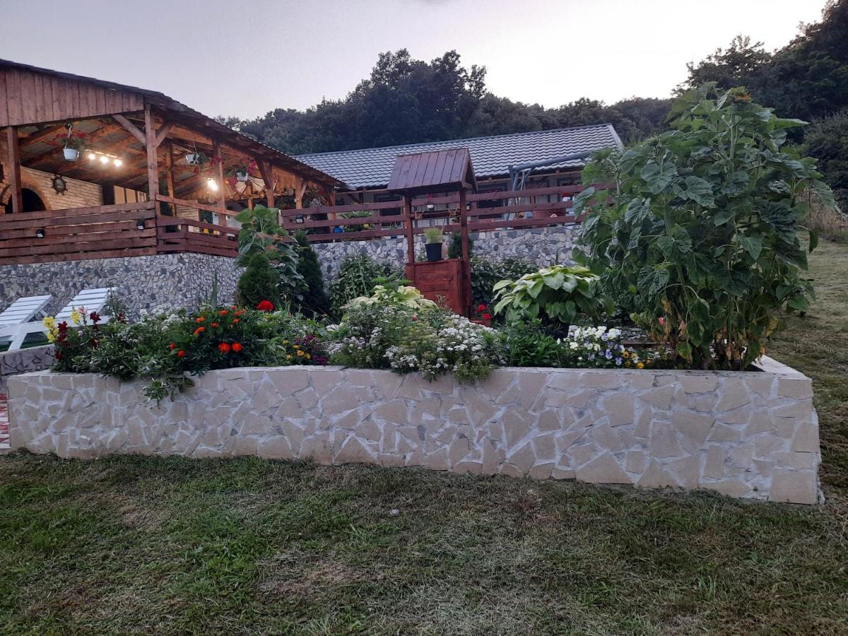 Casa Claudiu Vila Ieşelniţa Exterior foto